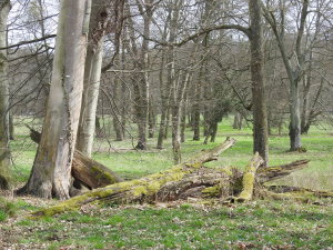 Landschaftspark Glienicke