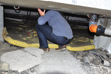 Kontrolle des Drempels auf Fledermäuse